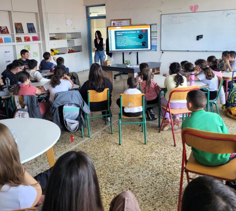 Δήμος Πύργου: Δράσεις ευαισθητοποίησης για τα αδέσποτα ζώα