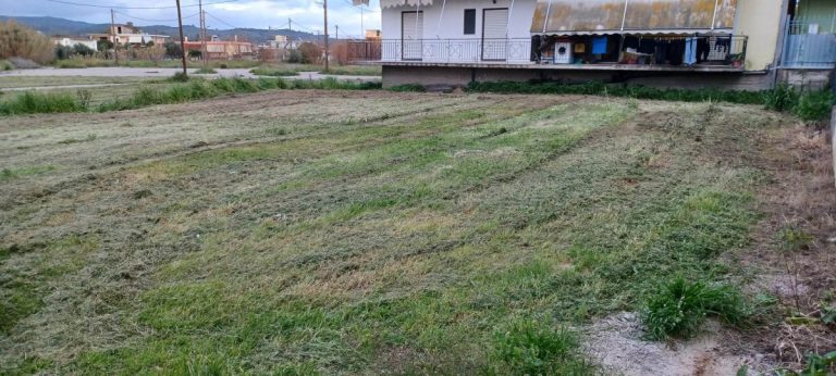 Tι πρέπει να κάνουν οι πολίτες με τις δηλώσεις για τους καθαρισμούς των oικοπέδων