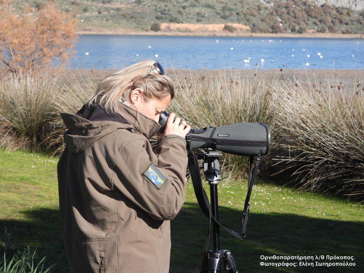 Εθνικό Πάρκο Υγροτόπων Κοτυχίου- Στροφυλιάς: Γιορτάζουμε την Παγκόσμια Ημέρα Περιβάλλοντος