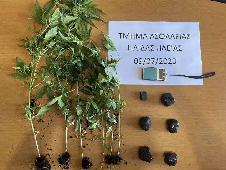 Μανωλάδα: Σύλληψη για διακίνηση ναρκωτικών - Κατασχέθηκαν 97 γραμμάρια ηρωίνης και 6 φυτά κάνναβης