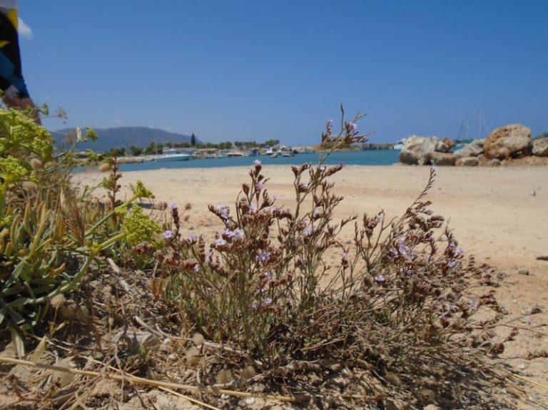 Έκθεση φωτογραφίας της OIKIΠΑ με θέμα «Η ομορφιά των Νησιών μας»