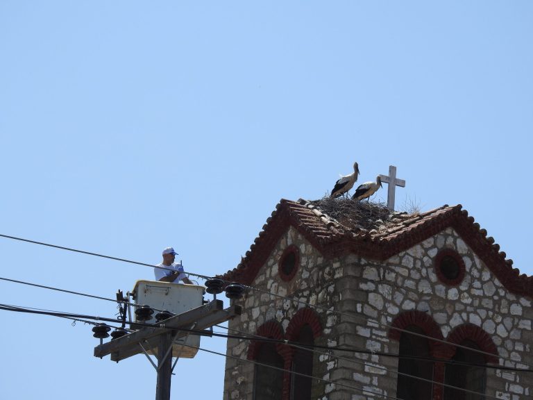 Εθνικό Πάρκο Υγροτόπων Κοτυχίου - Στροφυλιάς: Δακτυλίωση νεοσσών λευκοπελαργών στη Νέα Μανωλάδα