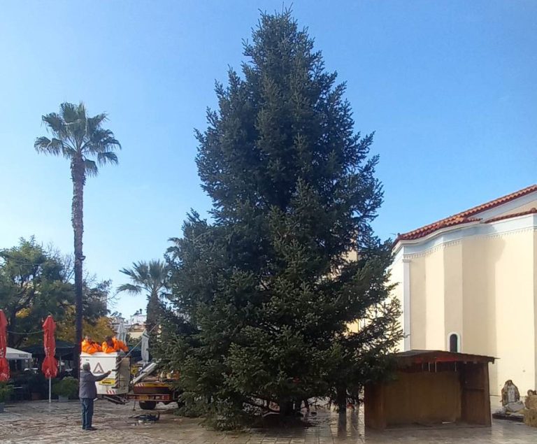 <strong>Αμαλιάδα: Την Τετάρτη 14/12 η φωταγώγηση του Χριστουγεννιάτικου δέντρου και… soundtrack by Stan!</strong>