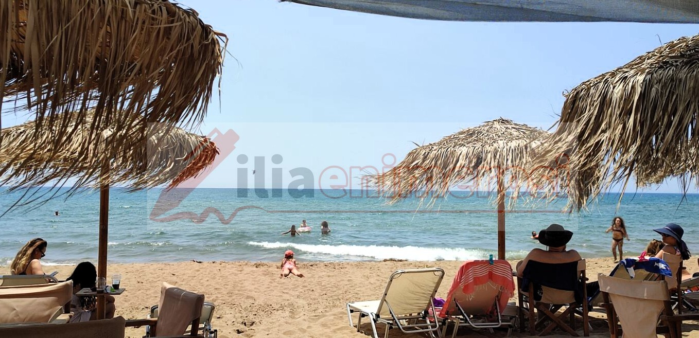 PARALIES_ZESTH_2025