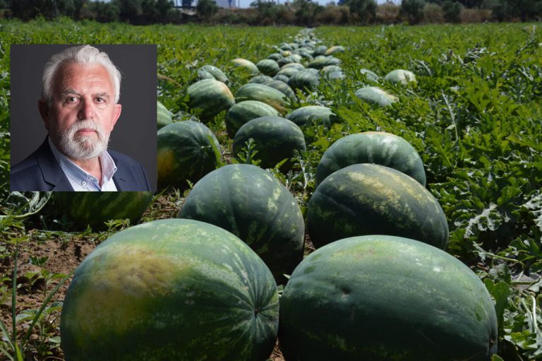 karpouzi_XRISTODOUL