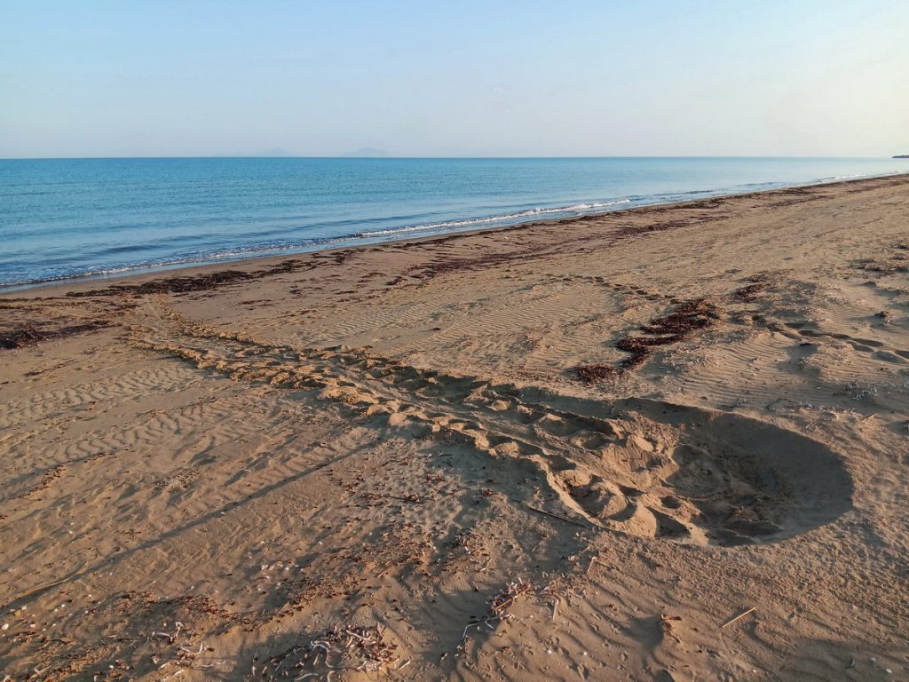CARETTA_2025_1