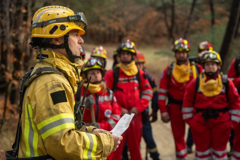 ETHELONTES_pyrosvestes-dasi-2