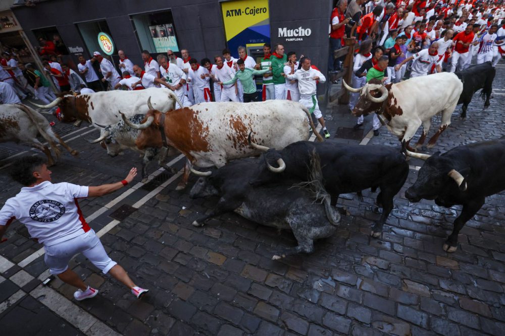 SPAIN-BULLS-1200x800-1