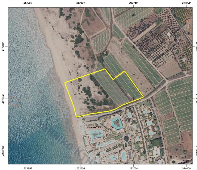 aldemar-1