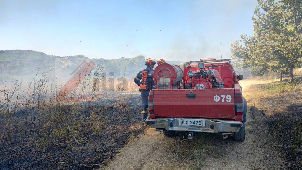 εικόνα_Viber_2025-07-20_17-30-47-500
