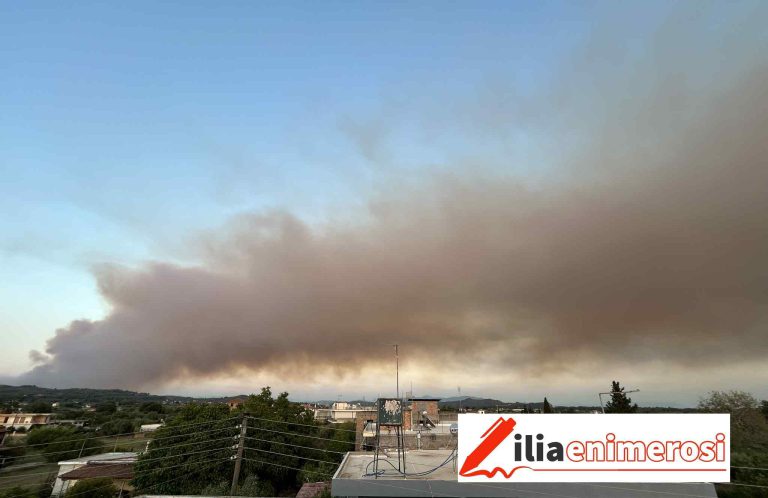 HELIDONI_4