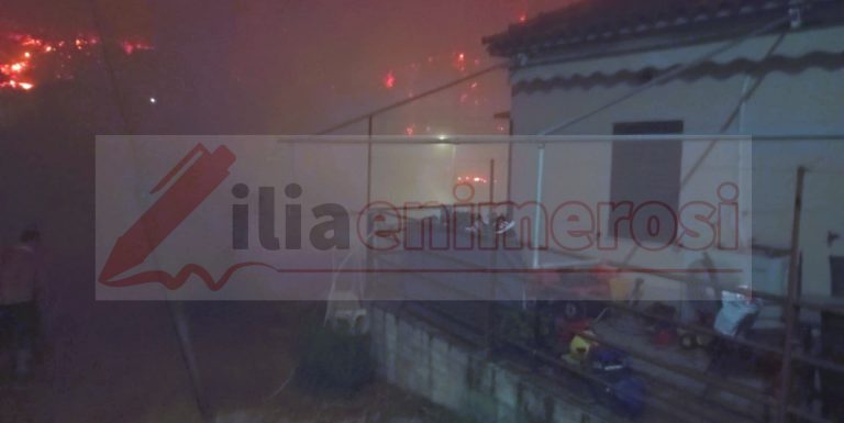 HELIDONI_8