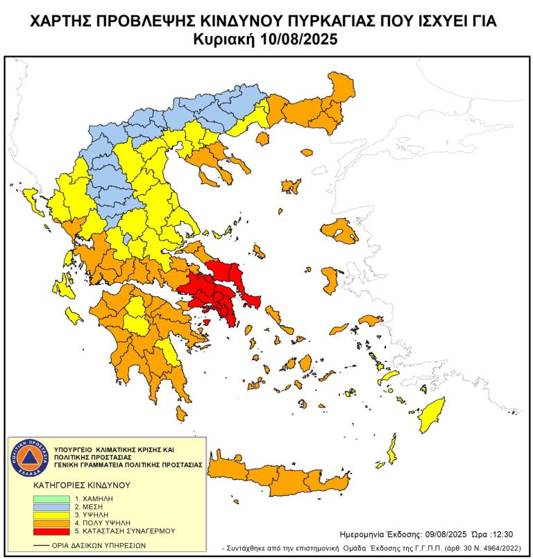 KINDYNOS_100825