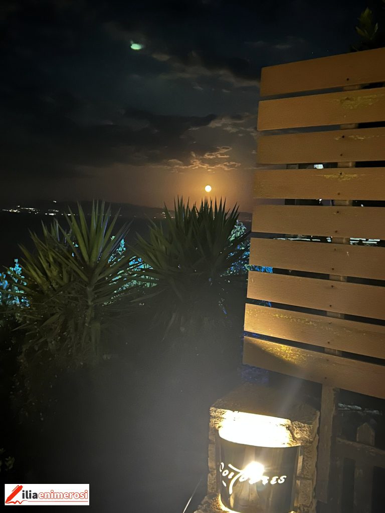 VIEW_CAFE_5