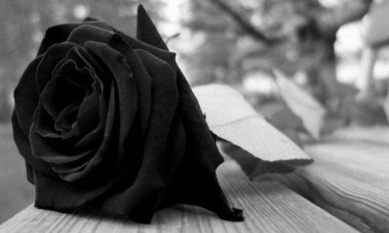 penthos_2_louloudi
