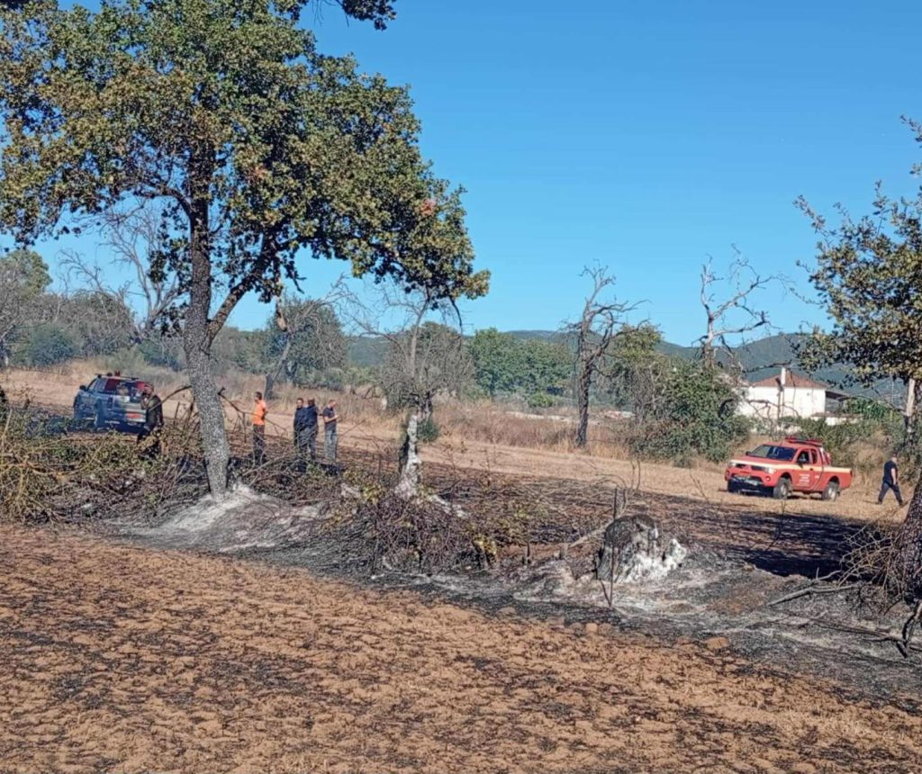 551278340_18069741989233192_6220350791622512399_n