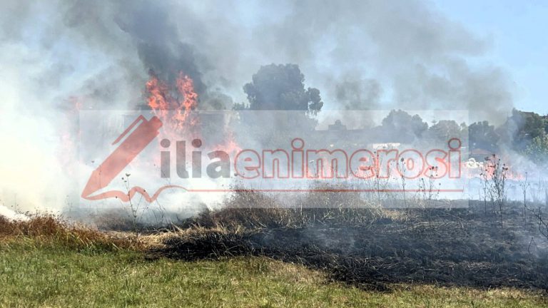 fotia_ARXEIO-e1749476143840
