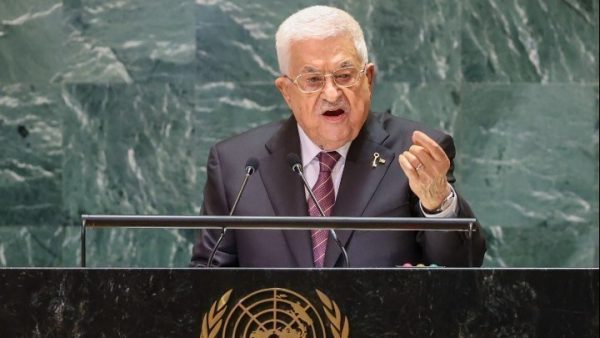 w22-230941w19171721w2861423w26183235Abbas29291065