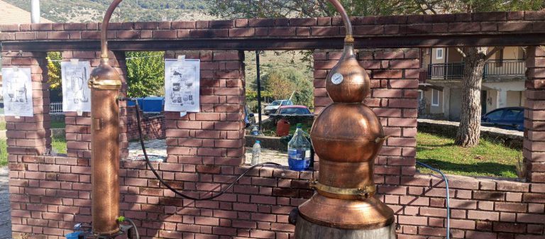 574574357_1203588778255355_6461115184675129690_n