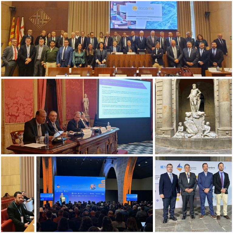 ASCAME-1819.2025