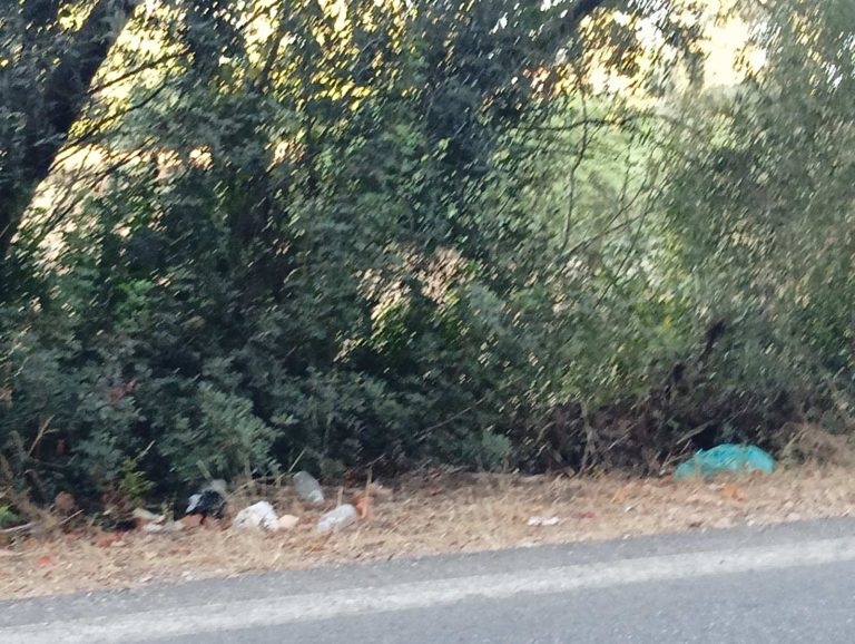 IMG-7fed828acc4284672229dda1c58a5e24-V-1-1