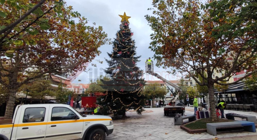 DENDRO_PYRGOS_2025jpg