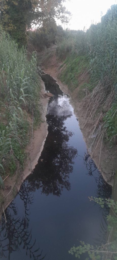 Messenger_creation_3A962D05-025E-4635-ABAF-93EFC04BF574