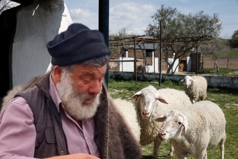 agrotis-provata-nosokomeio