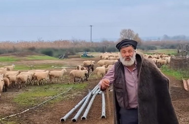 ktinotrofos-zoa-1200x788-1