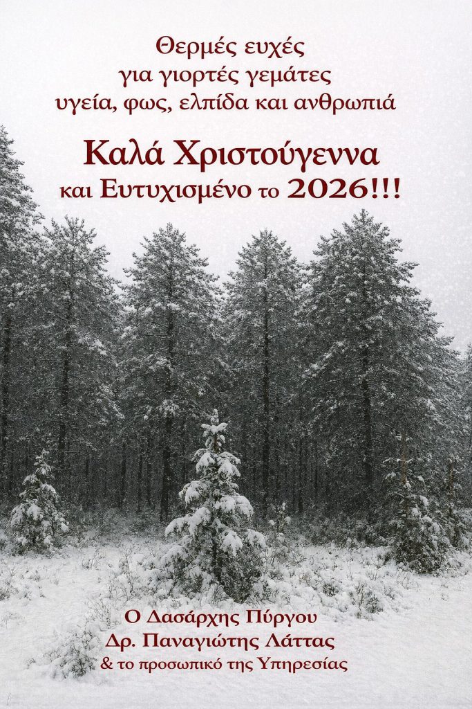 thumbnail_1766128137373blob