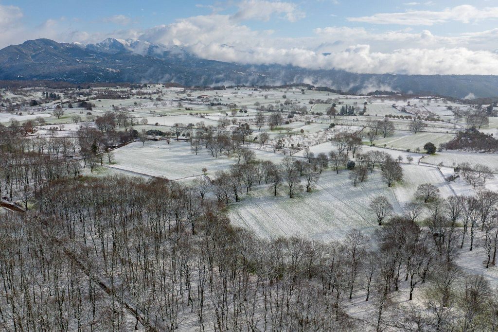 612125768_1255102303104002_8246179706461544692_n