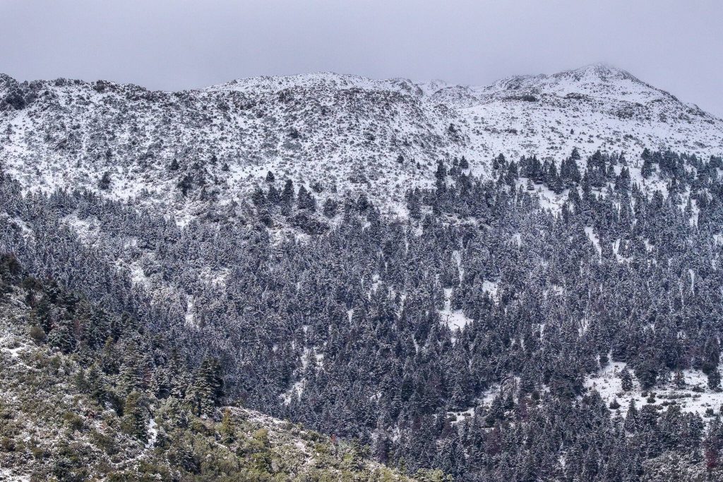 613922701_1255101916437374_5405812213627106197_n