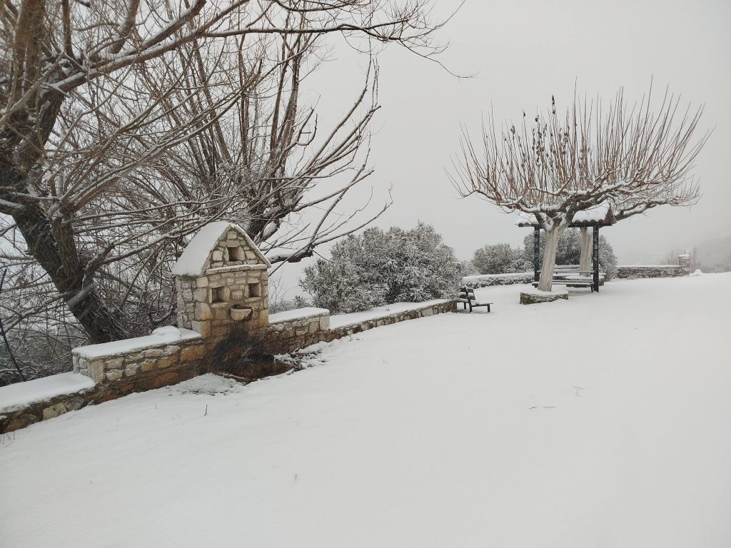 615203341_3292797464249578_7312343400044344859_n