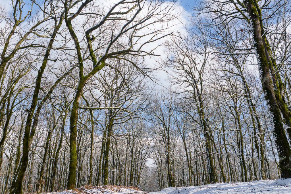 615431921_1255102113104021_4678281851727078018_n