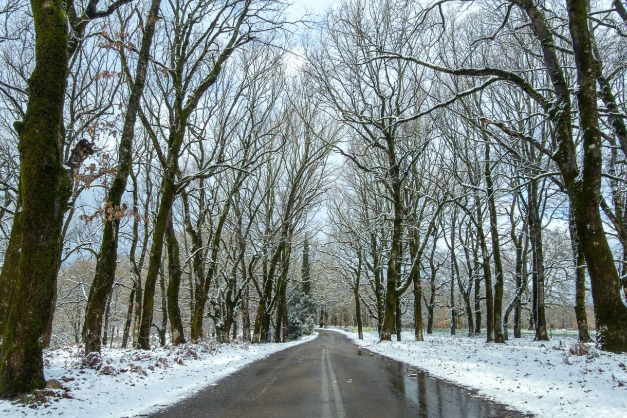 615431995_1255102366437329_4247212502556301753_n