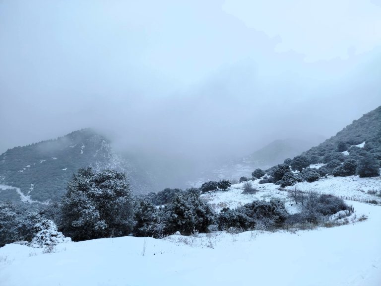 615551141_3292797360916255_6494447243095879563_n