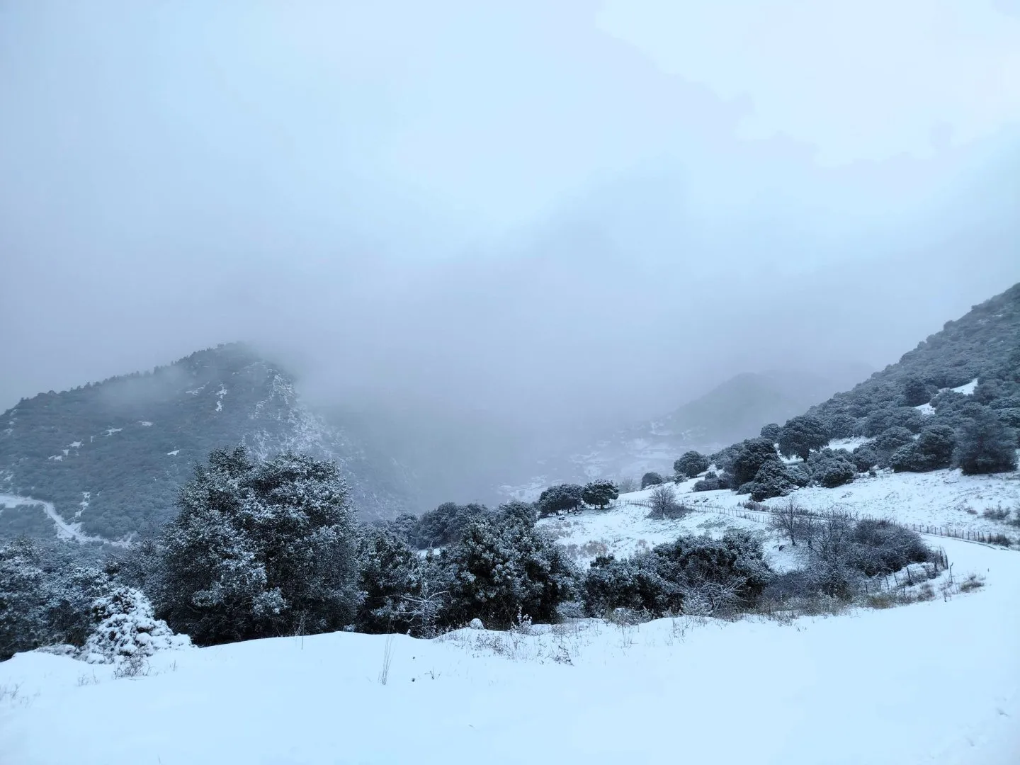 615551141_3292797360916255_6494447243095879563_n