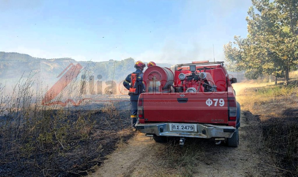 PYROSVESTIKH_OXHMA_MIKRO