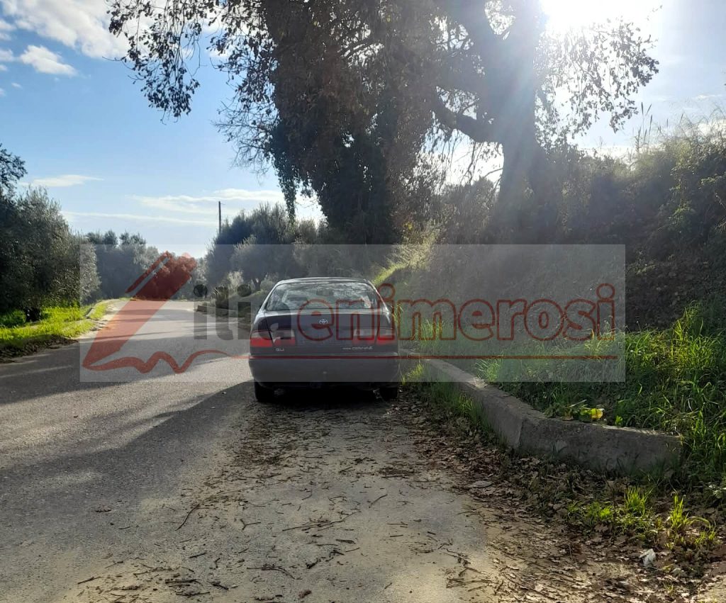 d021f06d-cd20-46d6-84dc-32ae8907edc8